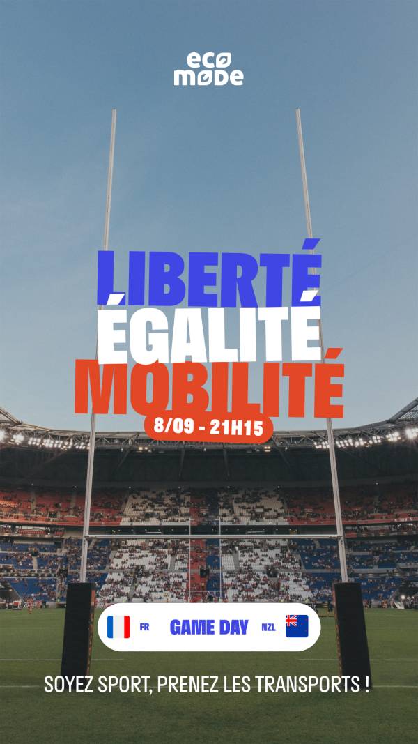 Illustration du projet Coupe du Monde de Rugby